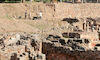 Arquelogos vuelven al peristilo del Teatro Romano Mrida 80 aos de su ltima excavacin