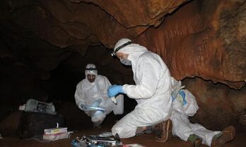 Proyecto arqueolgico de la Junta revela que ADN humano puede preservarse en las paredes de las cuevas