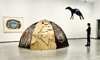 El Museo Helga de Alvear de Cceres exhibe 17 nuevas obras de coleccin de arte contemporneo