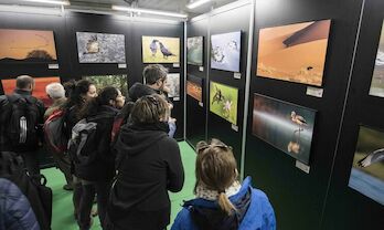 FIO abre el plazo de su concurso fotogrfico que repartir 6800 euros